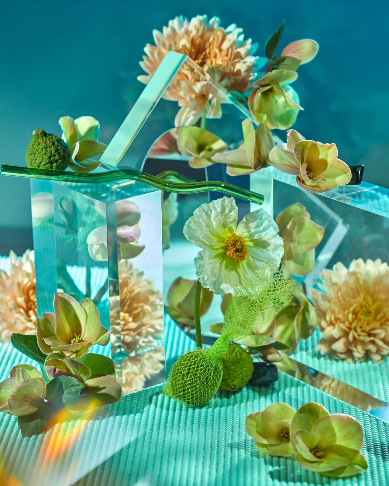 fragrance — Nissa Quanstrom